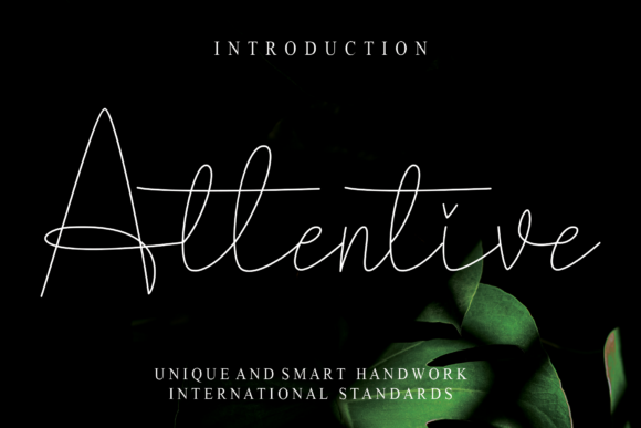 Attentive Font: A Delicate Script Handwritten Typeface for Elegant Branding