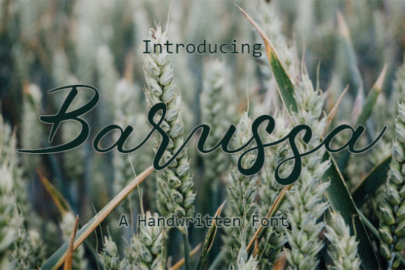 Barussa: A Script Handwritten Font That Elevates Small Business Branding