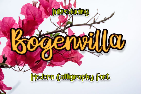 Bogenvilla: A Romantic Script Handwritten Font for Brand Warmth
