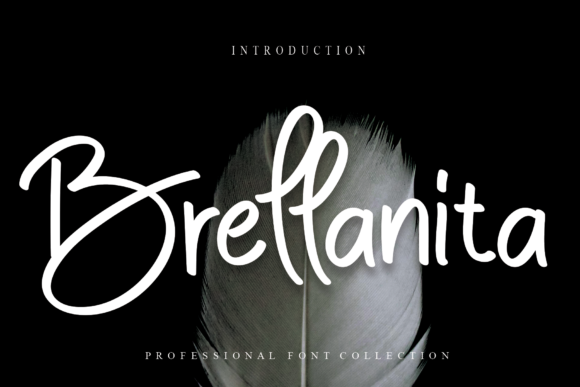 Brellanita: A Sweet Script Handwritten Font for Makers