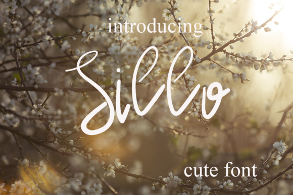 Sillo: A Sweet & Delicate Script Handwritten Font for Digital Romance
