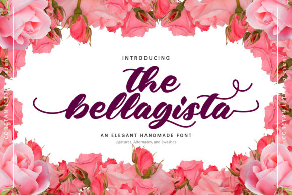 The Bellagista: A Warm Script Handwritten Font for Editorial Charm