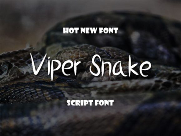 Viper Snake: A Chic Script Handwritten Font for Editorial Design
